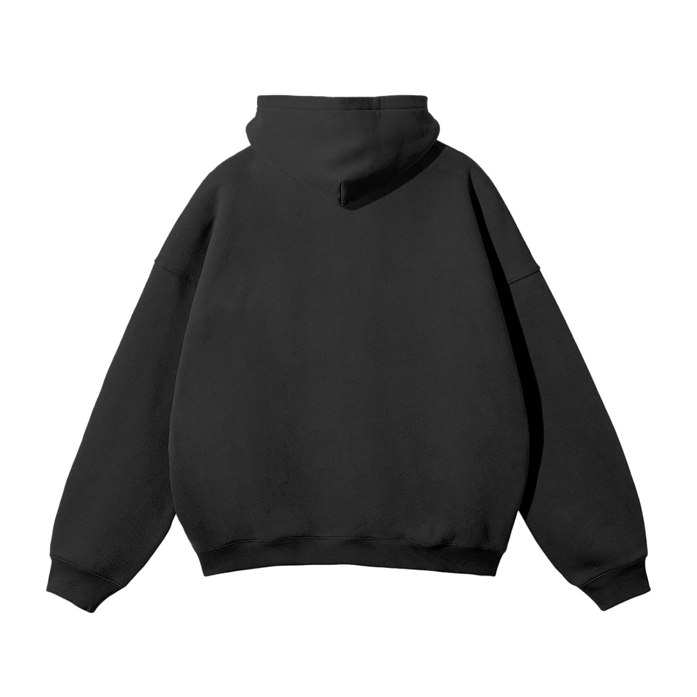 Naujawan Elevated Hoodie